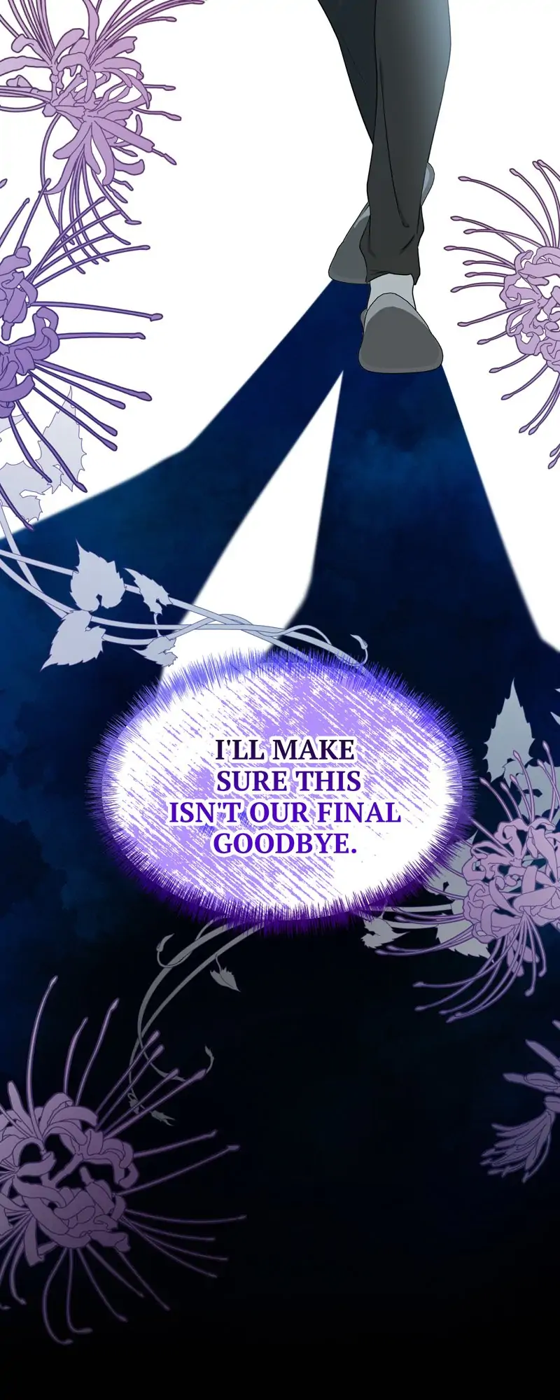 32997717 800 2000 112426